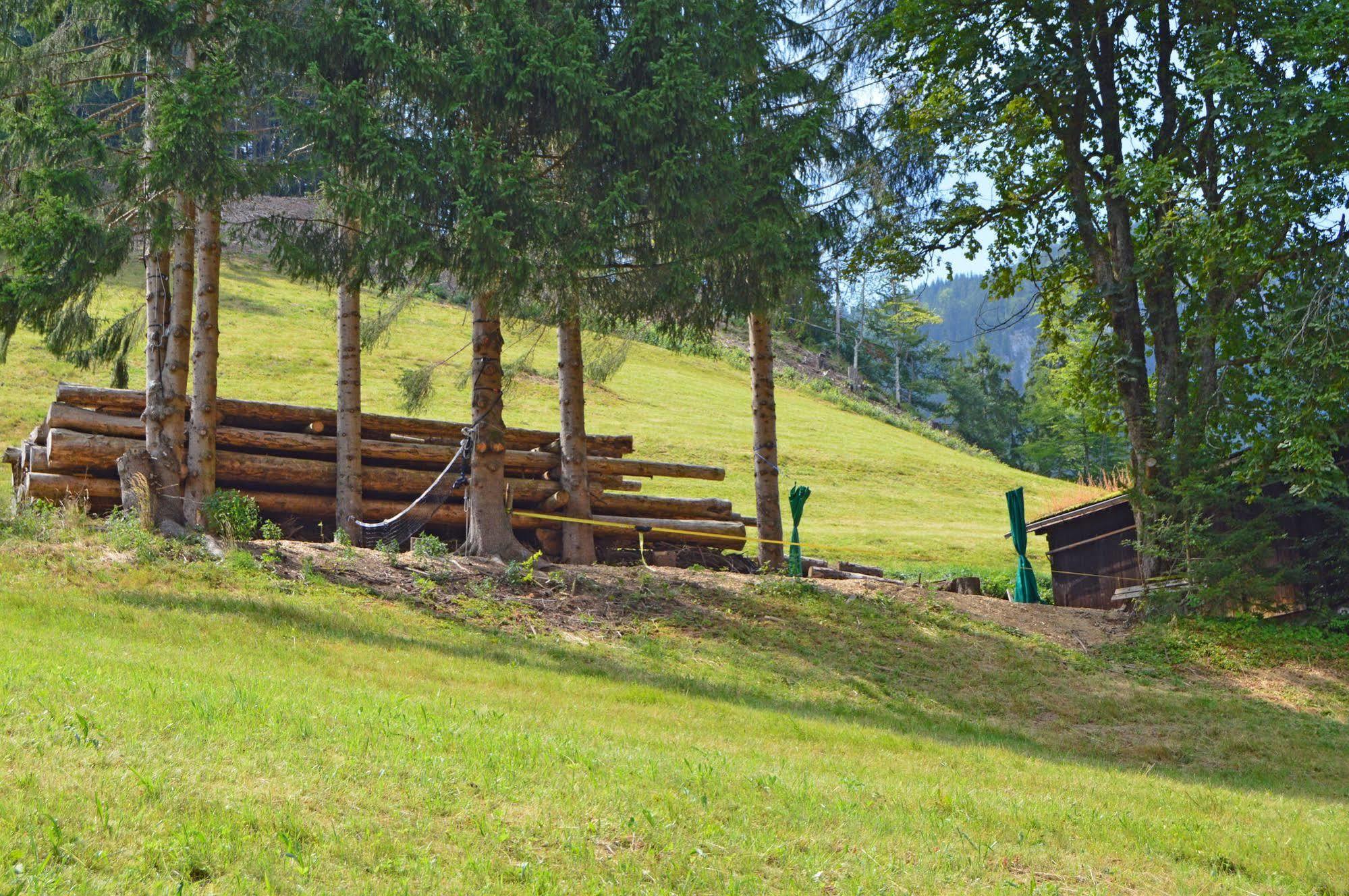 Oberstdorf Hostel מראה חיצוני תמונה
